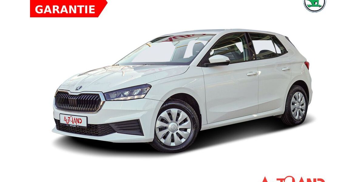 Skoda Fabia 45.371 km 16.950 &euro; Dresden 01069