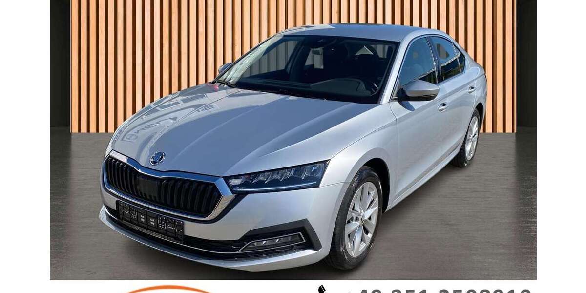 Skoda Octavia 45.807 km 18.980 &euro; Dresden/Weißig 01328