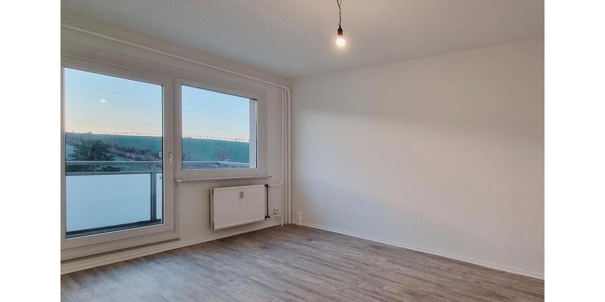 Etagenwohnung Dresden Cotta - 1 Zimmer, 29 m&sup2;, 335&euro; | Angebot:26477147