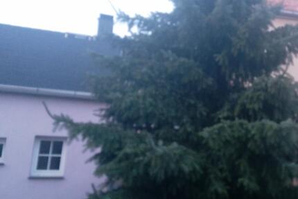 Haus Stolpen - 6 Zimmer, 120 m&sup2;, 150.000&euro; | Angebot:21428227