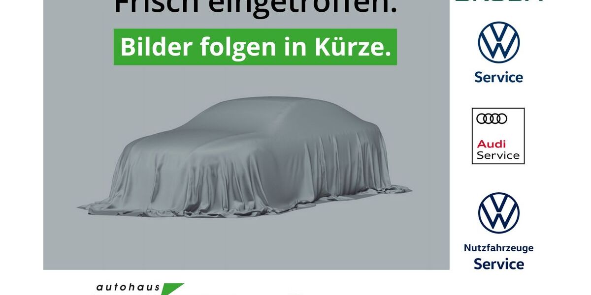 Skoda Scala 20.000 km 21.990 &euro; Bahretal 01819