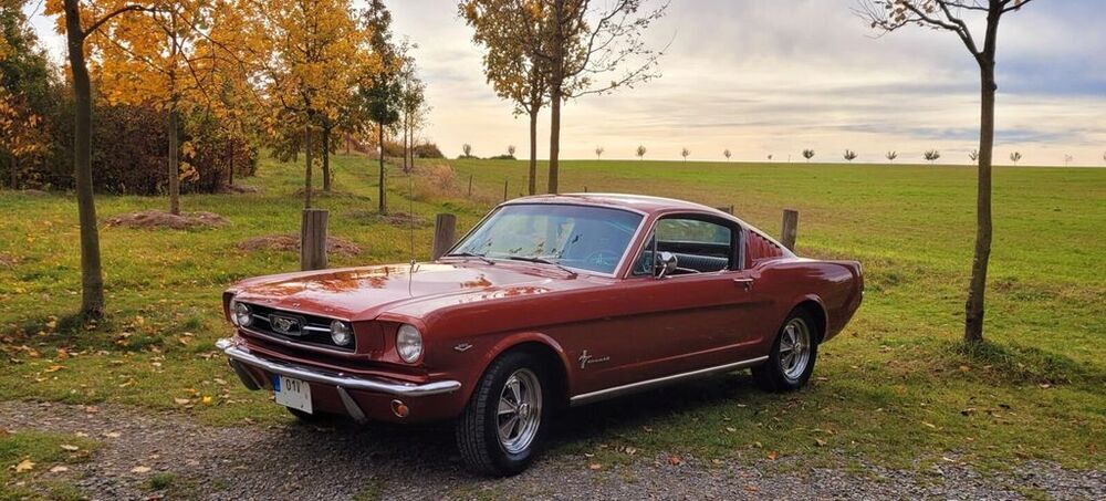 Mustang