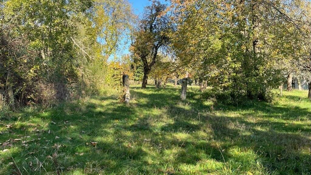 Grundstück Freital Weißig - 85.000&euro; | Angebot:25704804