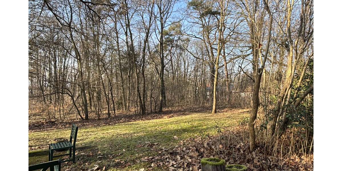 Traumhafte 5-Zimmer Eigentumswohnung im Park in absoluter Bestlage am Waldrand - Erdgeschoßwohnung Coswig | Angebot:25060534