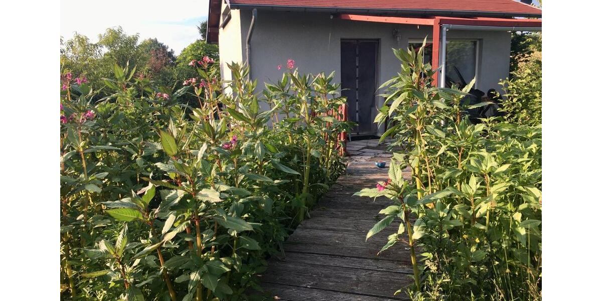 Einfamilienhaus Königsbrück - 12.000&euro; | Angebot:26517540
