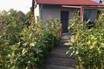 Einfamilienhaus Königsbrück - 12.000&euro; | Angebot:26517540