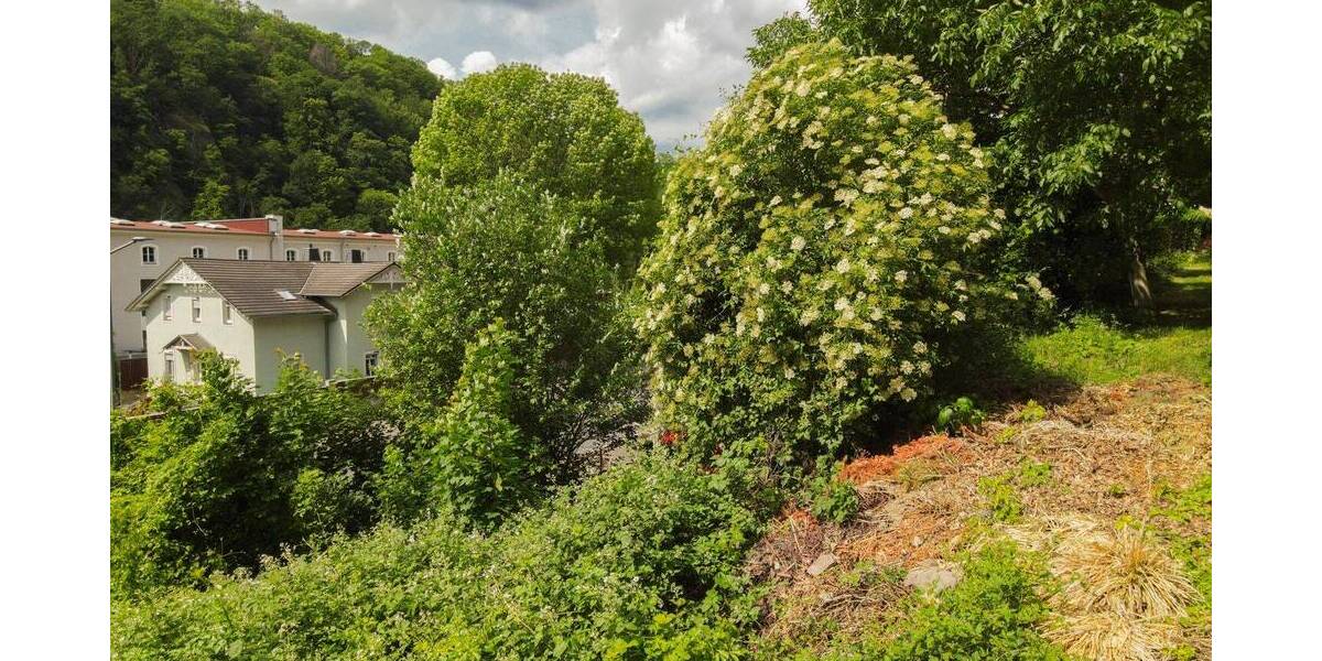 Grundstück Dresden Löbtau-Süd - 275.000&euro; | Angebot:26797377
