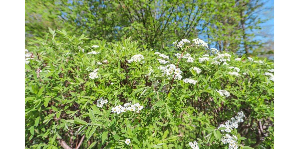 Etagenwohnung Pirna - 2 Zimmer, 72 m&sup2;, 129.000&euro; | Angebot:25798987