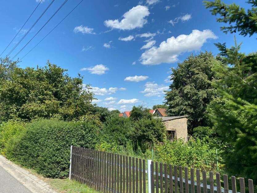 Grundstück zu verkaufen in Neukirch 60.000 € 950 m²