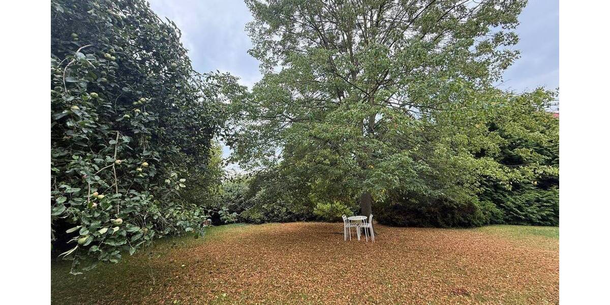 Einfamilienhaus Moritzburg - 1 Zimmer, 338 m&sup2;, 995.000&euro; | Angebot:25777594