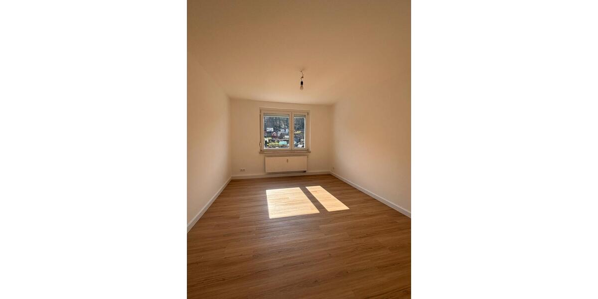 Etagenwohnung Heidenau - 3 Zimmer, 60 m&sup2;, 700&euro; | Angebot:26459470