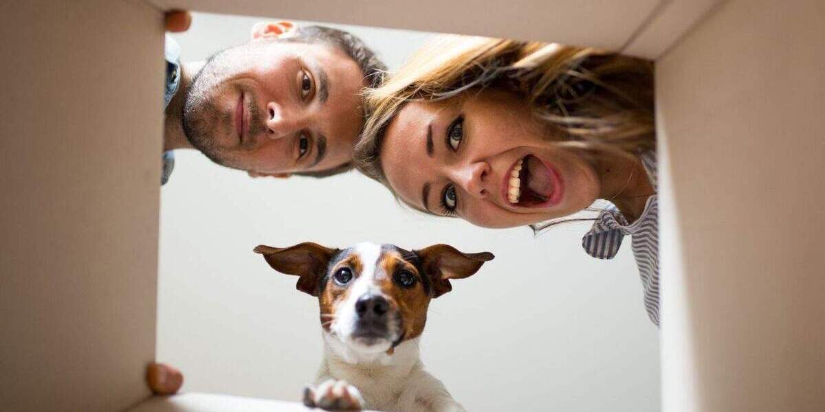 Mehrfamilienhaus, Wohnhaus Dresden Kauscha - 6 Zimmer, 239 m&sup2;, 451.589&euro; | Angebot:24873380