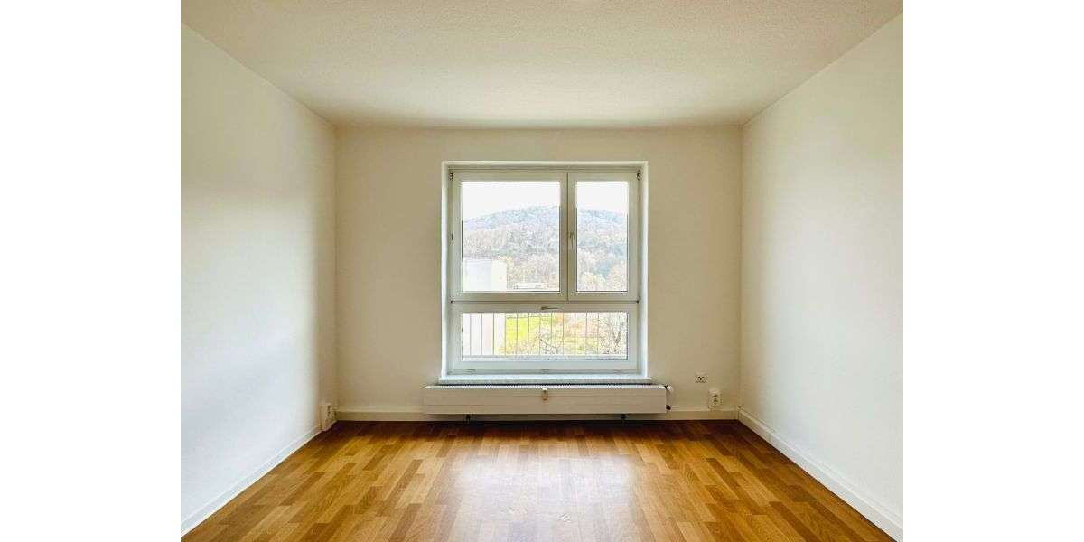 Etagenwohnung Freital Potschappel - 2 Zimmer, 53 m&sup2;, 290&euro; | Angebot:25836141