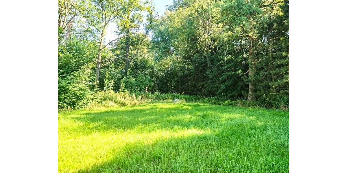 Grundstück Arnsdorf Kleinwolmsdorf - 180.000&euro; | Angebot:25695631