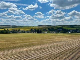 Bauernhaus, Landhaus Klingenberg - 20 Zimmer, 450 m&sup2;, 225.000&euro; | Angebot:27204951