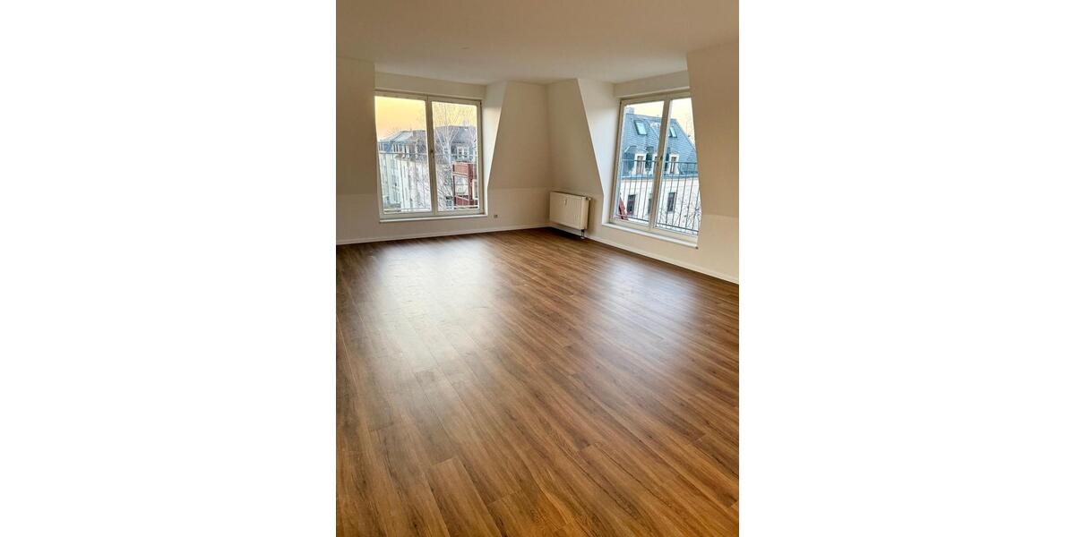 helle, neu renovierte 2 Zimmer Wohnung in Dresden 2 zimmer