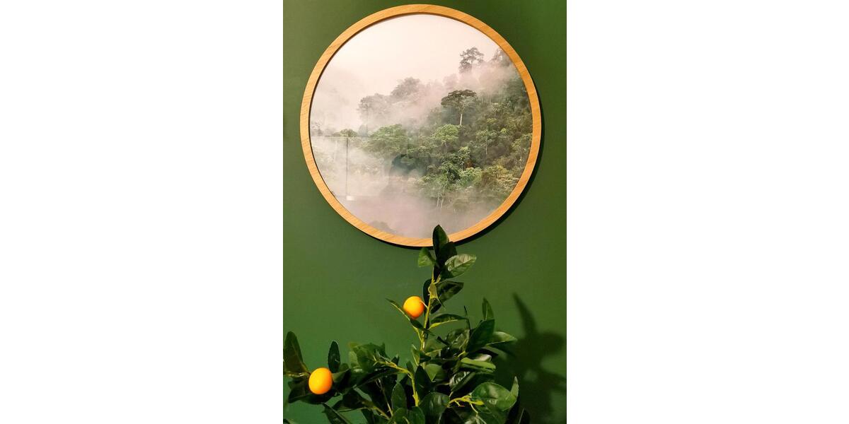 Erdgeschoßwohnung Dresden Plauen - 2 Zimmer, 48 m&sup2;, 850&euro; | Angebot:24373438