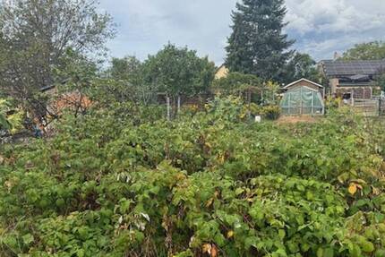 Kleines Baugrundstück in begehrter Wohnlage oberhalb von Radebeul-West zimmer