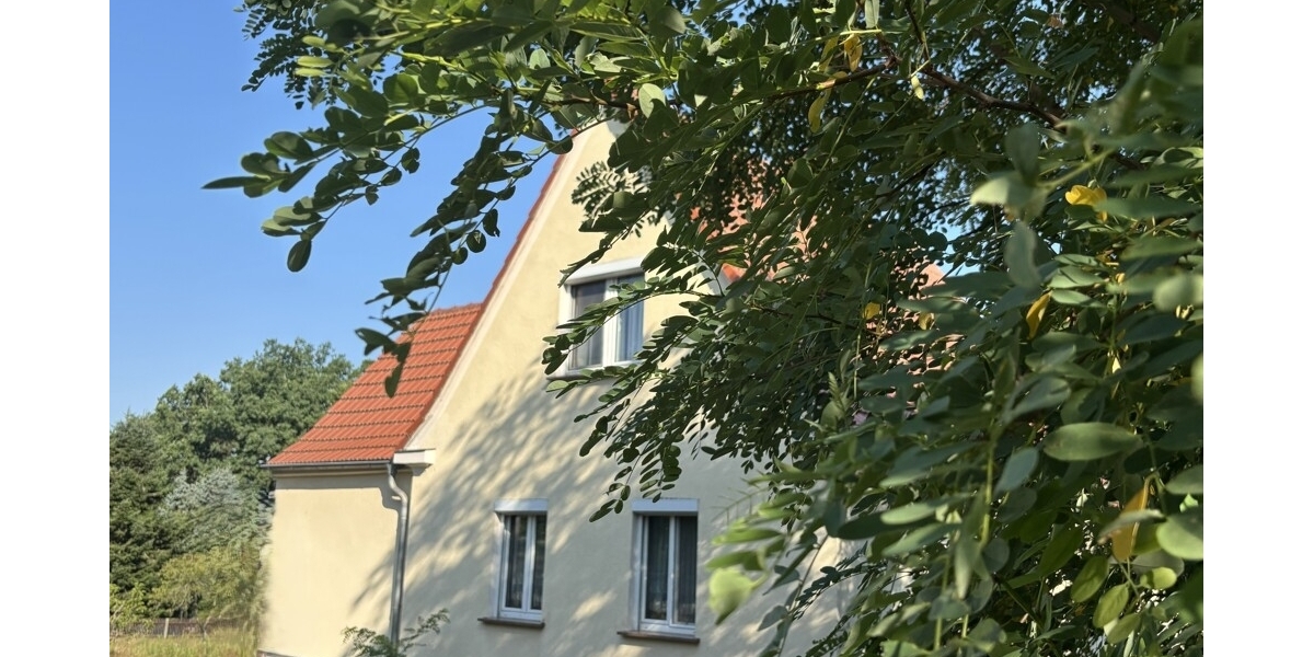 Einfamilienhaus mit ganz viel Potential und XL Grundstück in begehrter und ruhiger Siedlungslage - Einfamilienhaus Weinböhla | Angebot:27156514