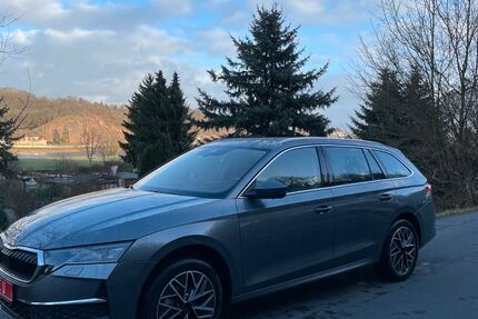 Skoda Octavia 8.500 km 33.290 &euro; Meißen 01662