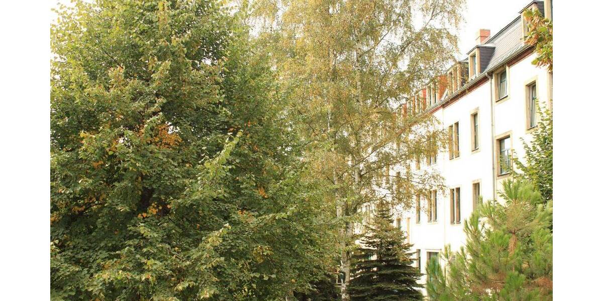Etagenwohnung Dresden Pieschen-Süd - 2 Zimmer, 50 m&sup2;, 450&euro; | Angebot:26276033