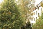 Etagenwohnung Dresden Pieschen-Süd - 2 Zimmer, 50 m&sup2;, 450&euro; | Angebot:26276033