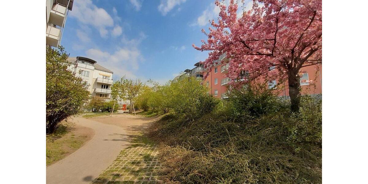 Dachgeschoßwohnung Meißen - 2 Zimmer, 64 m&sup2;, 500&euro; | Angebot:26424149