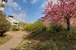 Dachgeschoßwohnung Meißen - 2 Zimmer, 64 m&sup2;, 500&euro; | Angebot:26424149