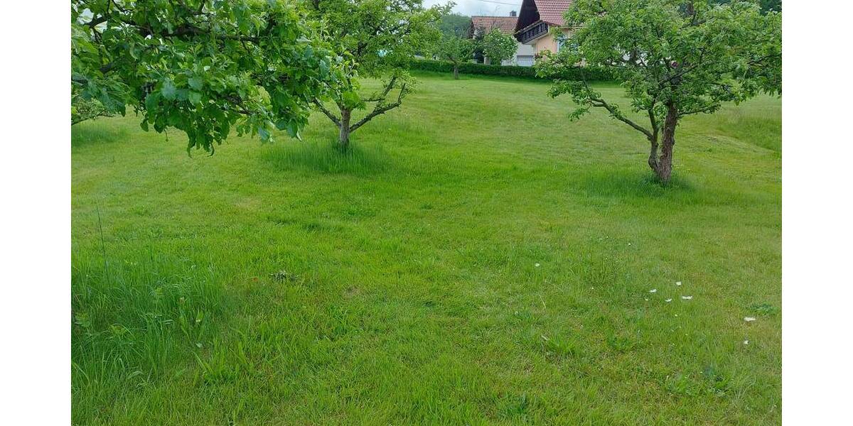 Grundstück Steina - 185.000&euro; | Angebot:25802404
