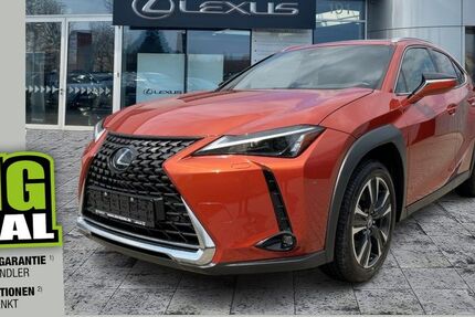 Lexus UX 22.000 km 27.980 € Dresden 01139