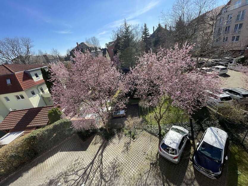 Wohnung zum Kaufen in Dresden 199.000 € 72.47 m²