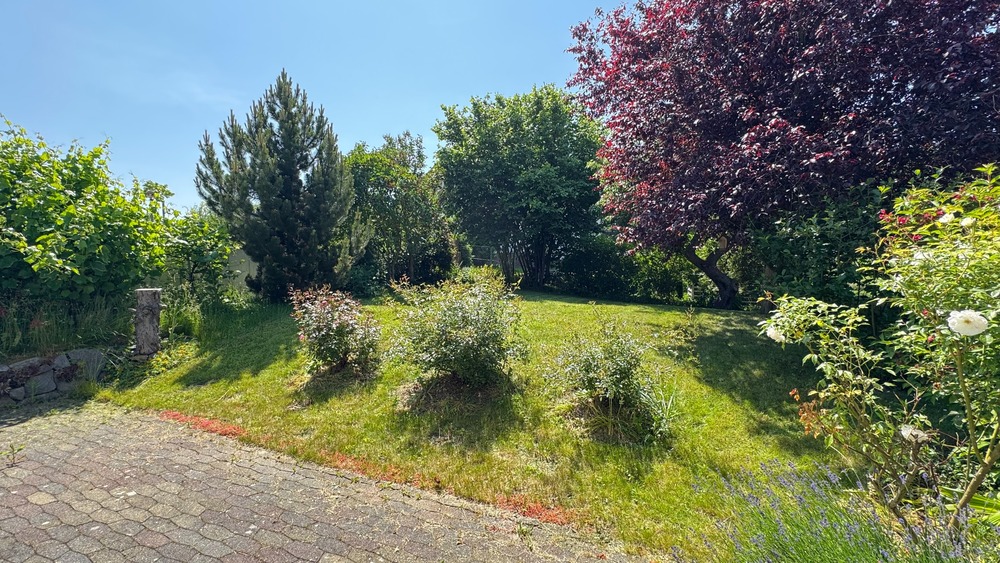 Helles, großes Einfamilienhaus mit Einliegerwohnung und Büro, Praxis oder Ferienwohnung - Einfamilienhaus Pohrsdorf Pohrsdorf | Angebot:27456107