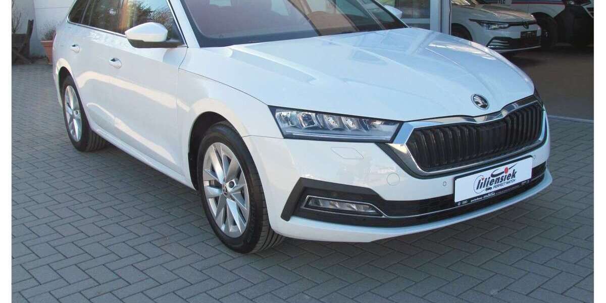 Skoda Octavia 79.430 km 22.690 &euro; Dippoldiswalde 01744