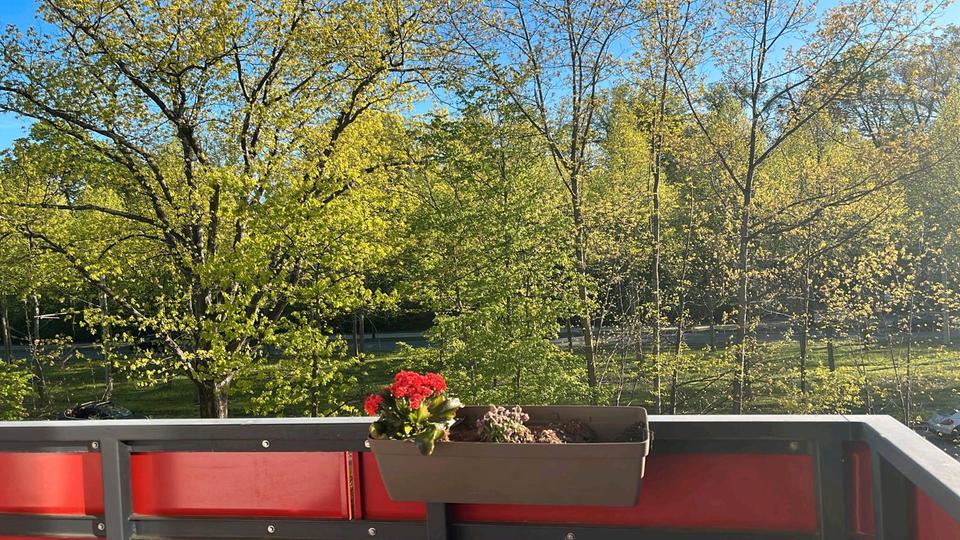 Etagenwohnung Dresden Schönfeld-Weißig - 4 Zimmer, 90 m&sup2;, 1.314&euro; | Angebot:26393162