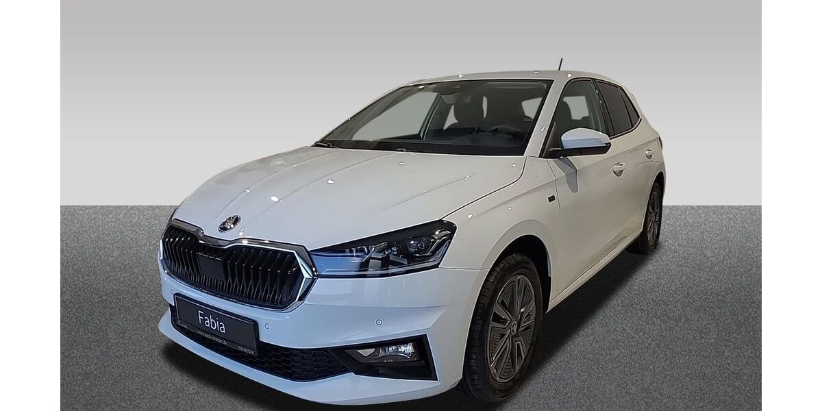 Skoda Fabia 2.906 km 20.840 &euro; Dresden 01067