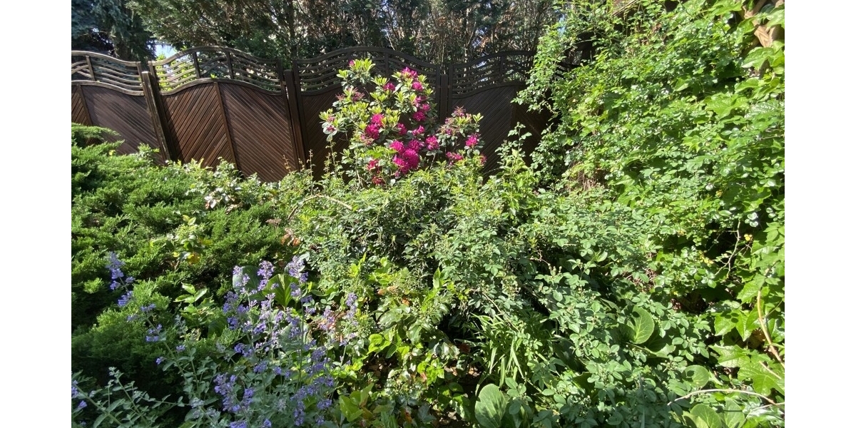 Großes Baugrundstück mit kleinem Bungalow in beliebter Wohnlage von Coswig - Grundstück Coswig | Angebot:27156530