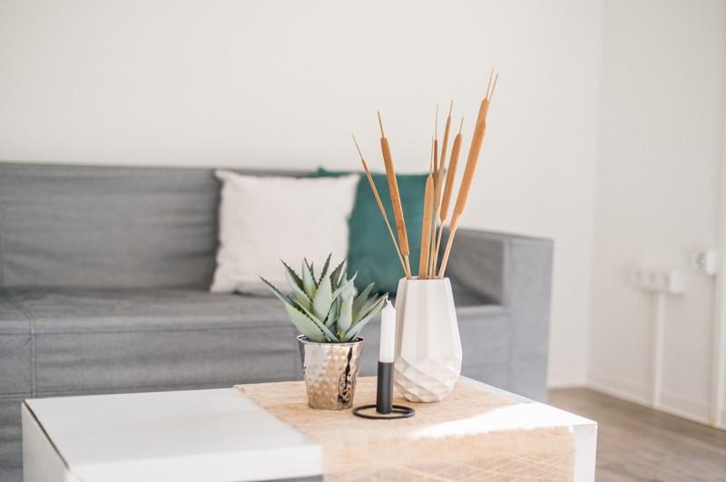 Etagenwohnung Dresden Blasewitz - 2 Zimmer, 54 m&sup2;, 458&euro; | Angebot:25525320