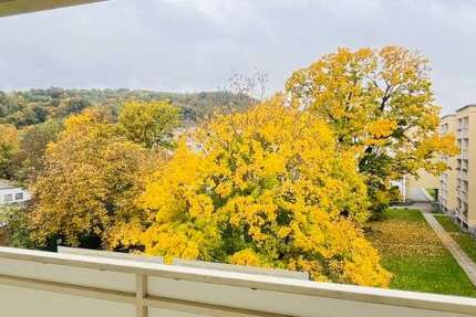 Wohnung zum Mieten in Freital 343,98 € 53.33 m² 2 zimmer