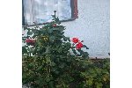 Einfamilienhaus Moritzburg - 5 Zimmer, 86 m&sup2;, 362.000&euro; | Angebot:27084788