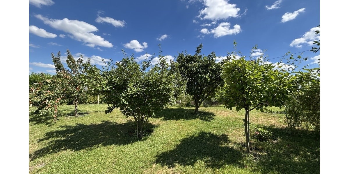 Naturerlebnis vor den Toren der Stadt - Ihr neues Familienzuhause in Klipphausen-Bockwen - Einfamilienhaus Klipphausen | Angebot:27133205