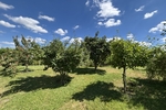Naturerlebnis vor den Toren der Stadt - Ihr neues Familienzuhause in Klipphausen-Bockwen - Einfamilienhaus Klipphausen | Angebot:27133205