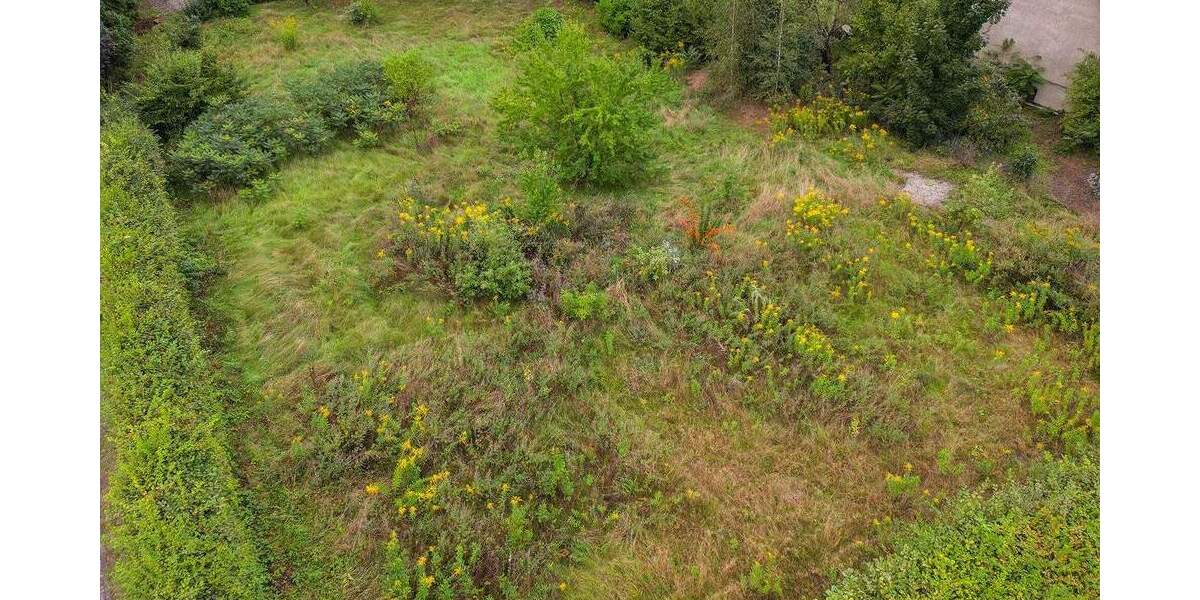 Investment mit 3 oder 5 Wohnungen - Sonniges Baugrundstück in begehrter Dresdner Elblage zimmer