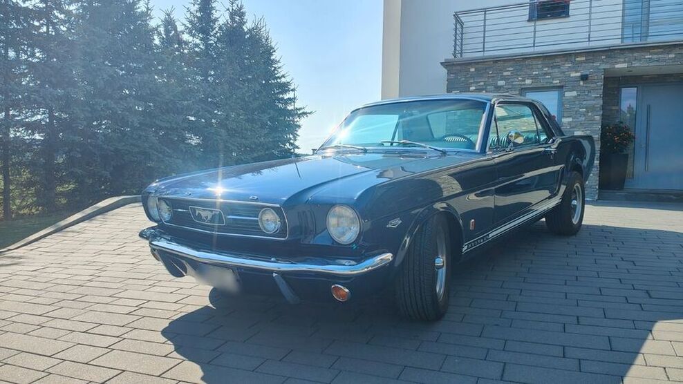 Mustang