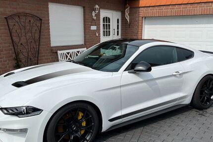 Ford Mustang 57.000 km 31.199 &euro; Lampertswalde 01561