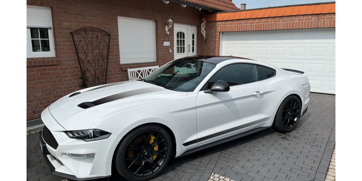 Ford Mustang 57.000 km 31.199 &euro; Lampertswalde 01561