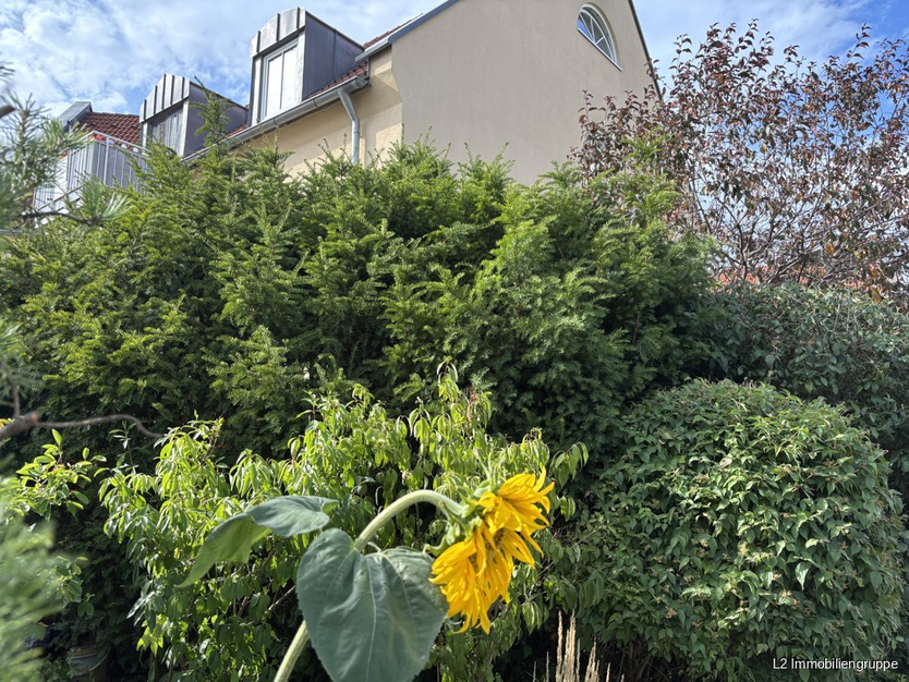 Gemütliche 3-Zimmer-Eigentumswohnung für Ihre Familie oder als Kapitalanlage 3 zimmer