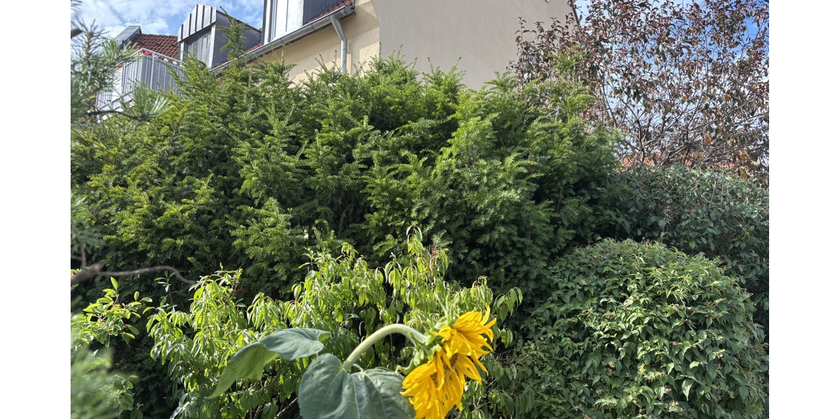 Gemütliche 3-Zimmer-Eigentumswohnung für Ihre Familie oder als Kapitalanlage - Etagenwohnung Coswig | Angebot:22894894