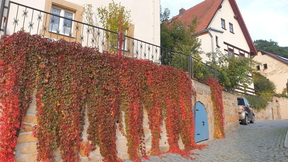 Einfamilienhaus Pirna - 6 Zimmer, 130 m&sup2;, 360.000&euro; | Angebot:26691434