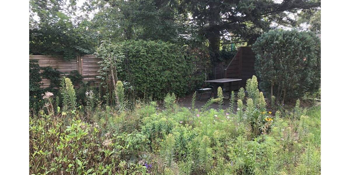 Versteigerungsimmobilie Radebeul - 800.000&euro; | Angebot:25682324