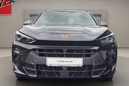 Cupra Terramar 1.001 km 47.990 &euro; Dohna 01809